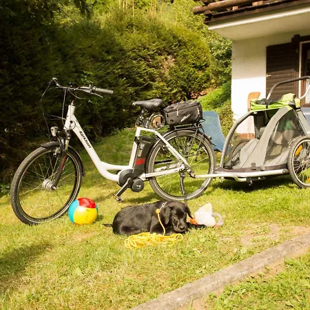 Reinskopf-3 By Interhome Schönecken