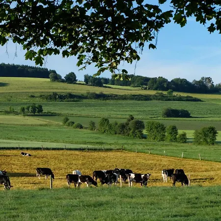 Reinskopf-3 By Interhome