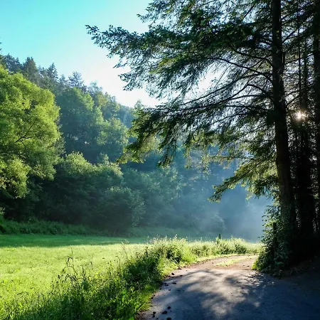 Reinskopf-3 By Interhome 別荘 *