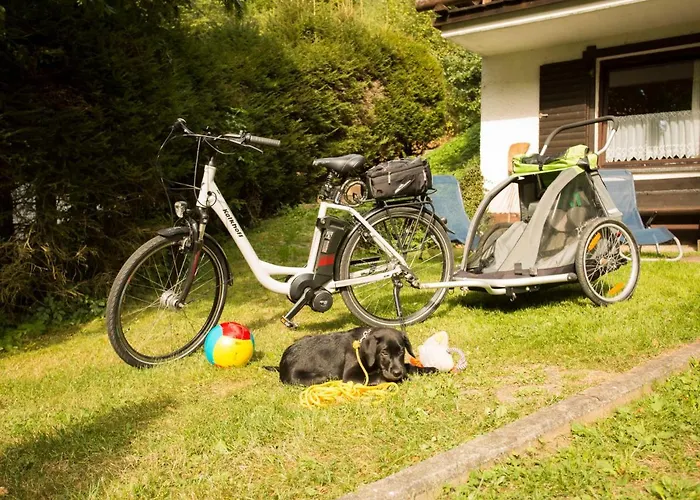 Reinskopf-3 By Interhome Schönecken