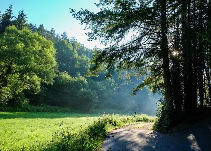 Reinskopf-3 By Interhome Casa de Férias *